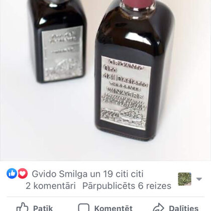 Inga piekrīt, ka Oro del Desierto ražotais Bio sarkanvīna balzametiķis ir gards.