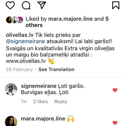 Signe Meirāne, Instagram komentārs