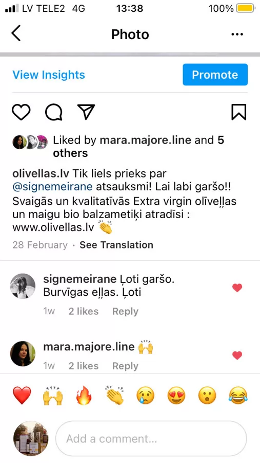 Signe Meirāne, Instagram komentārs
